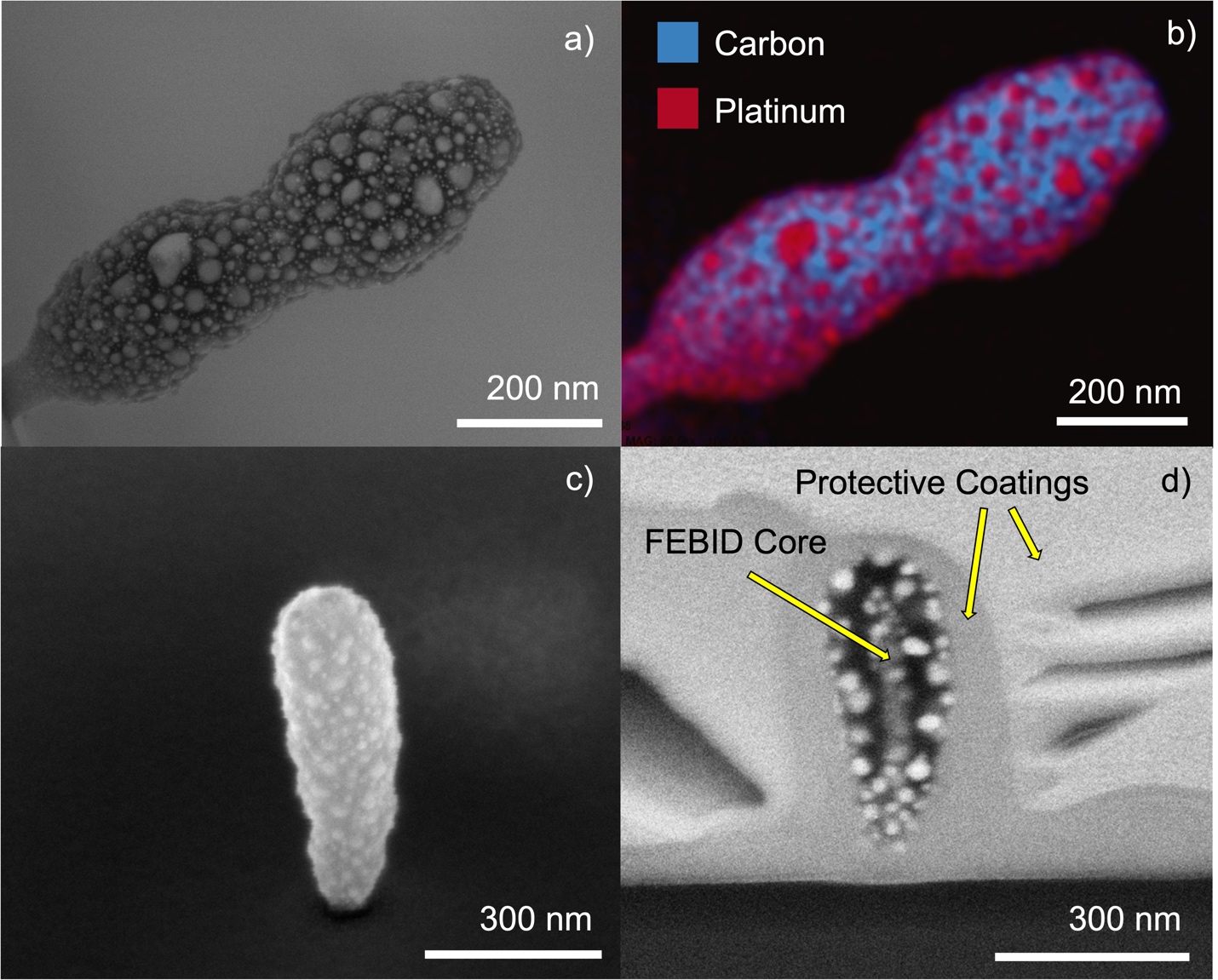 Selected Area Deposition of PtCx Nanostructures